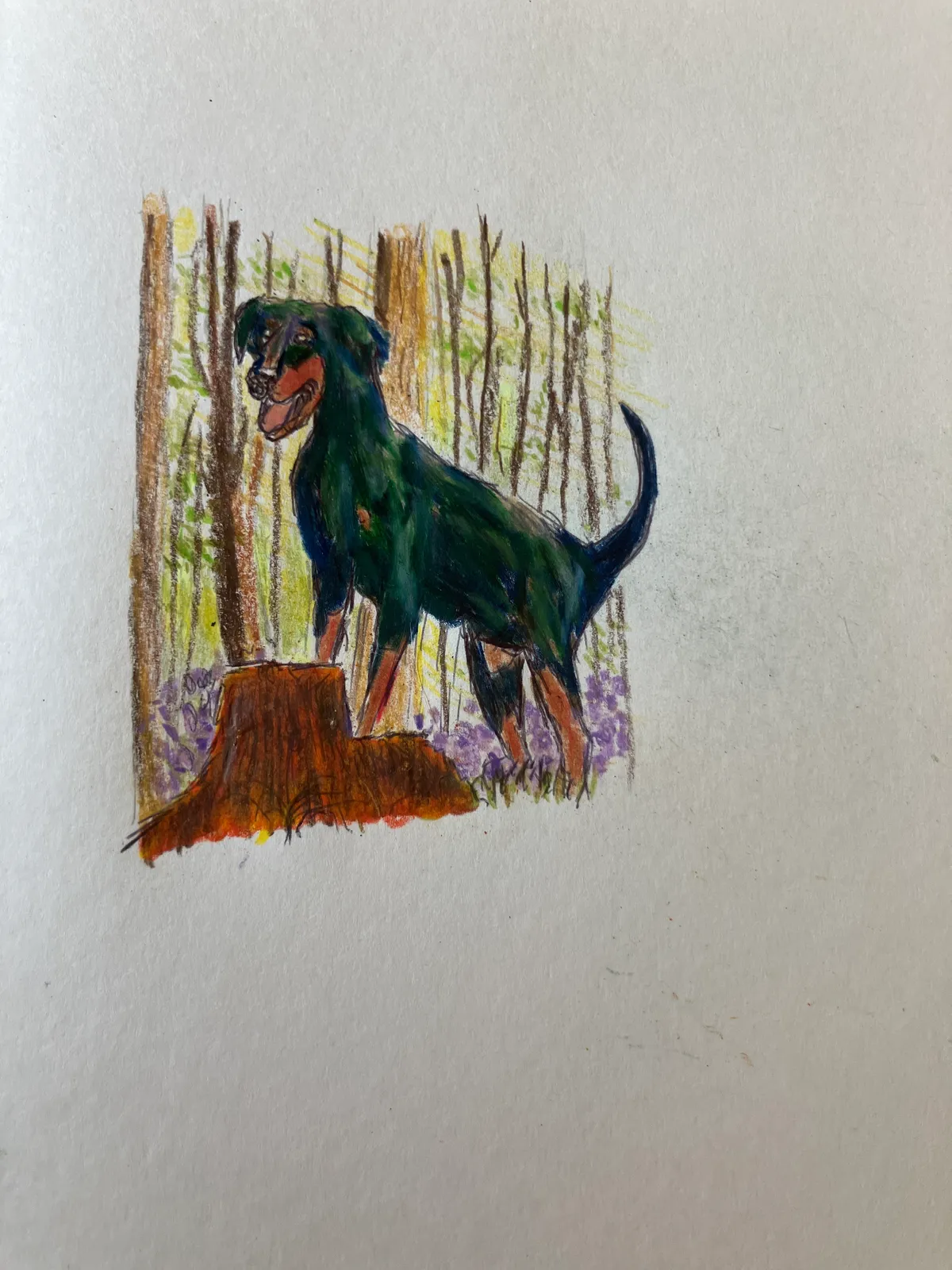 In the woods  (image 1 of 3)