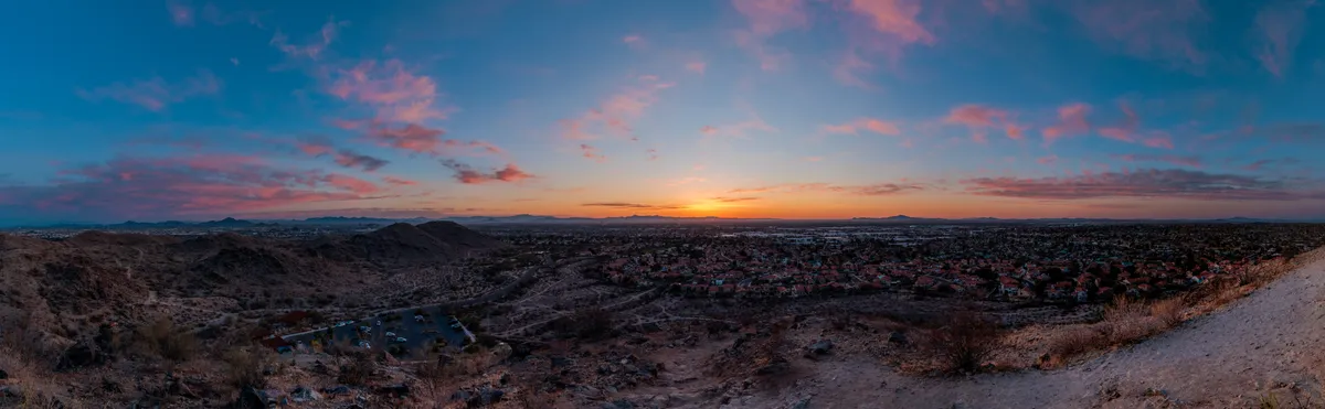 Phoenix Dawn