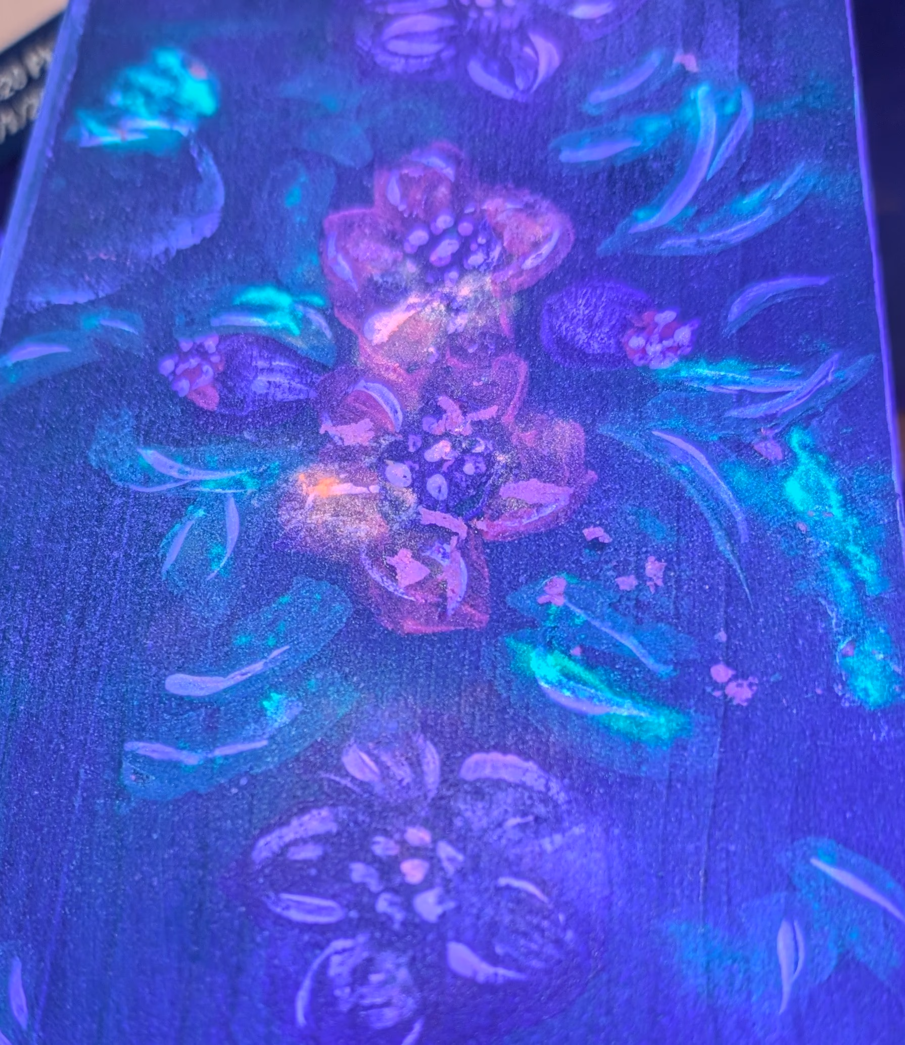 A Light In The Dark (image 1 of 2)