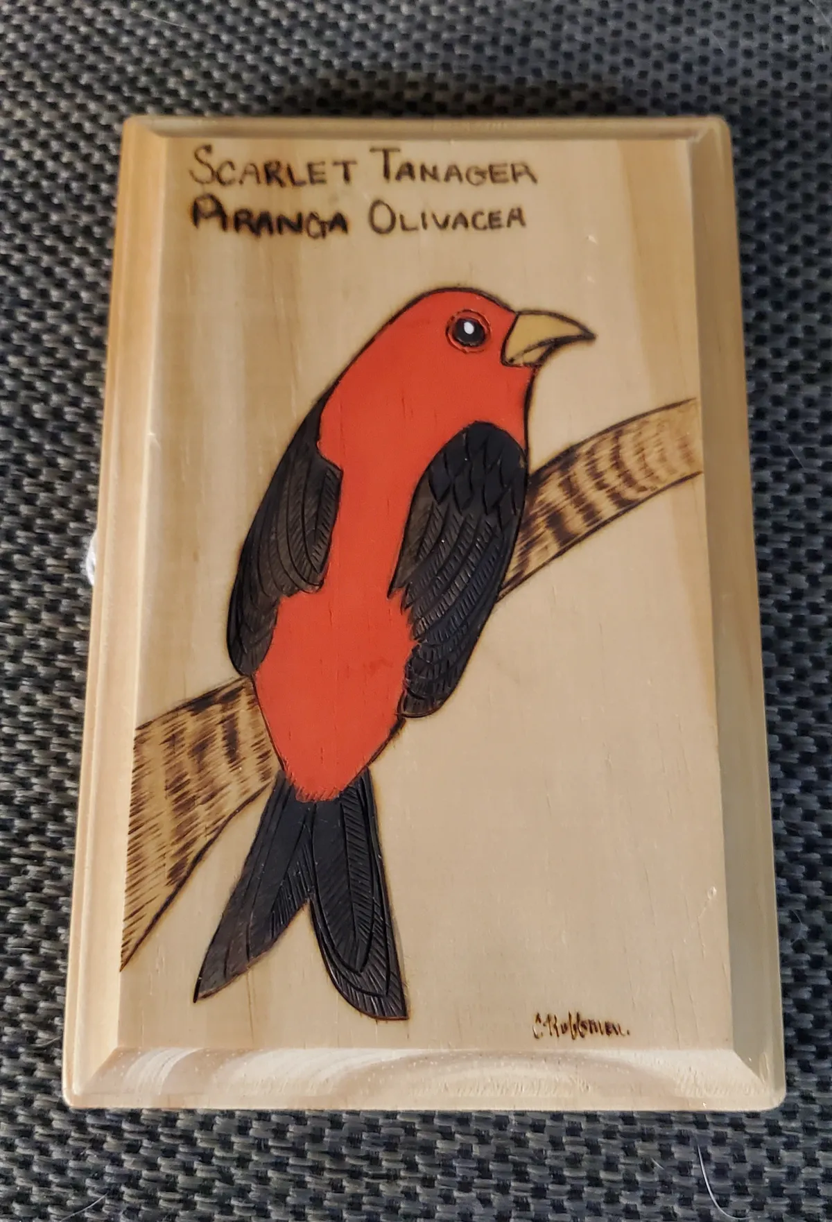 Scarlet Tanager
