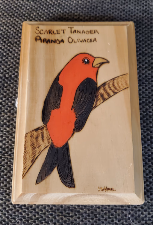 Scarlet Tanager