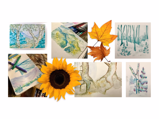 Natural Collection (image 1 of 2)