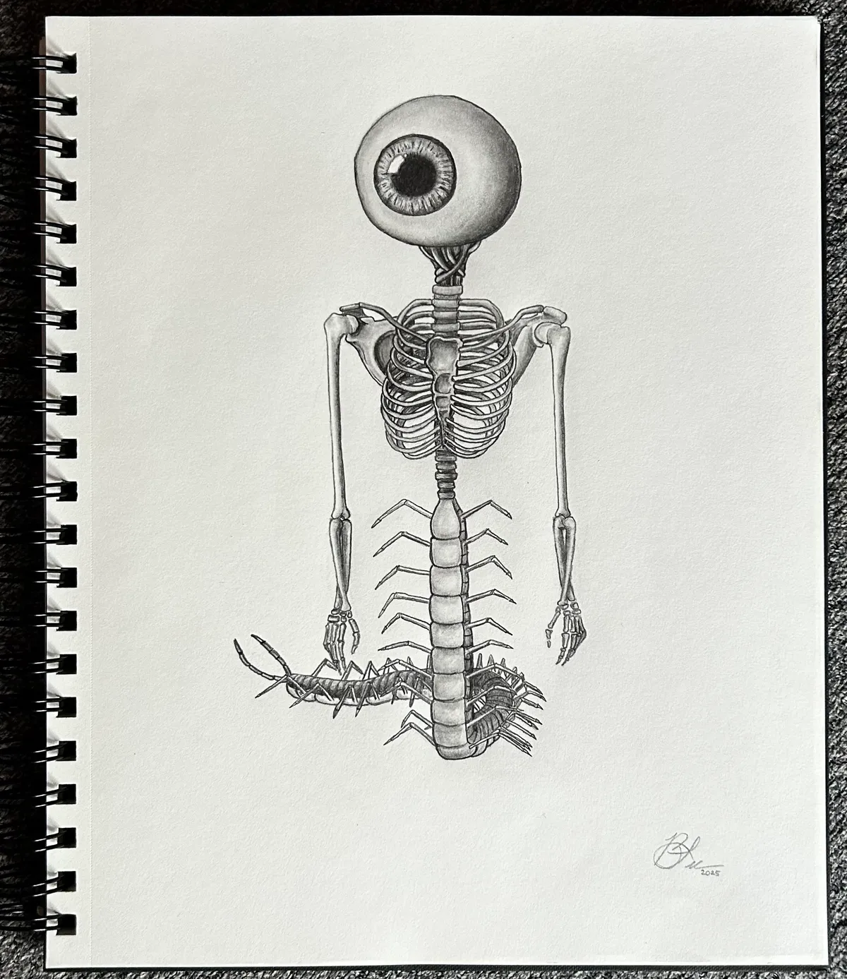 Corpus Oculi (image 1 of 2)