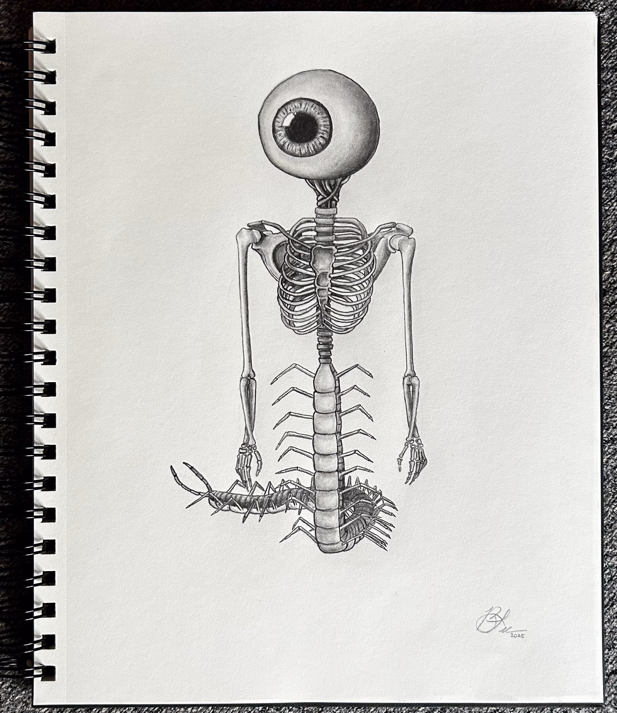 Corpus Oculi (image 1 of 2)