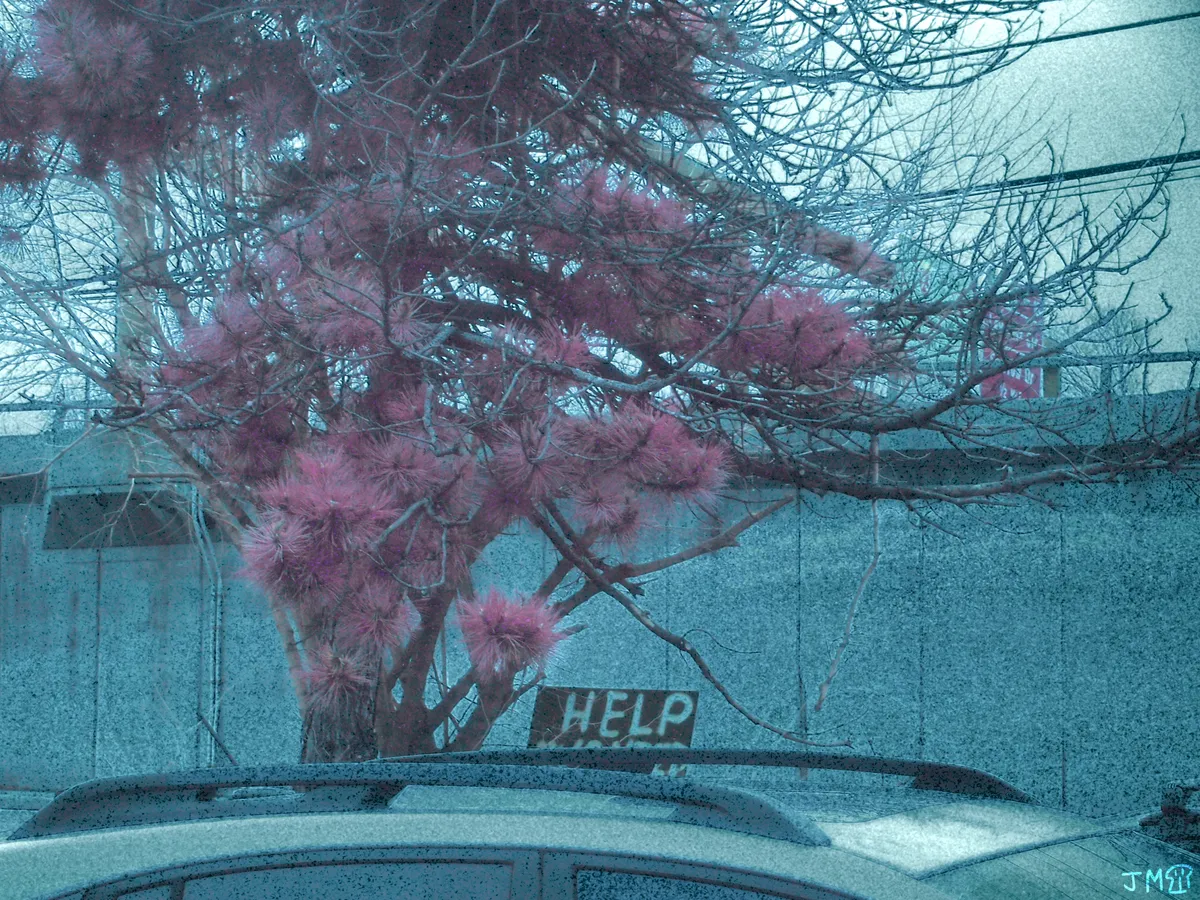 HELP (Home Depot)