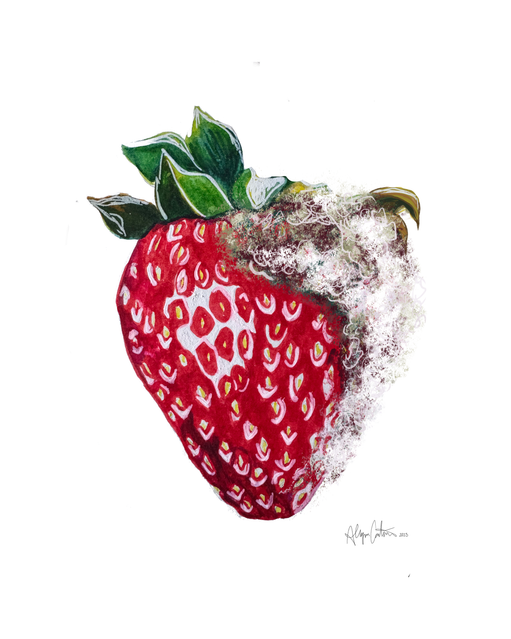 Sweet Decay