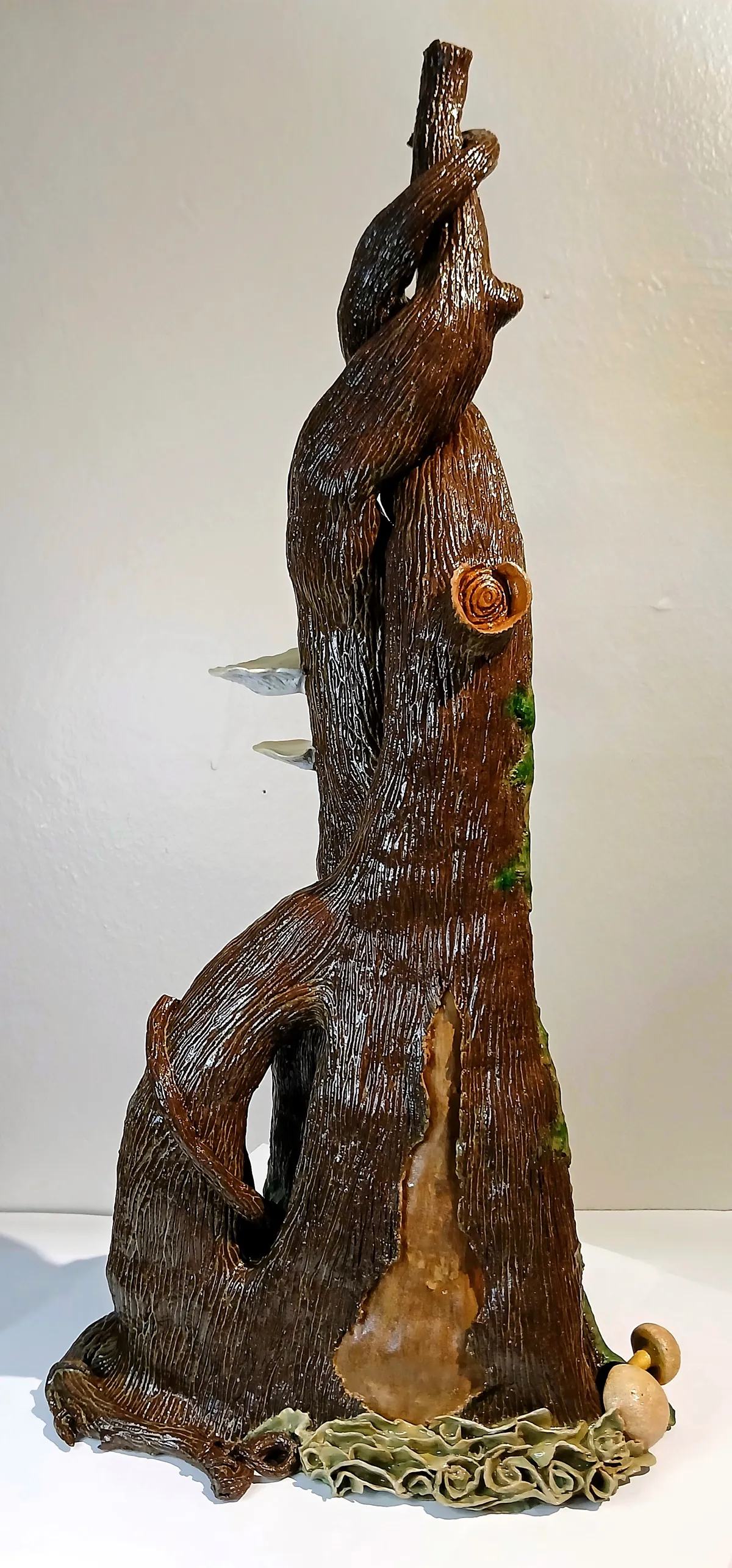Twisting Tree (image 1 of 4)