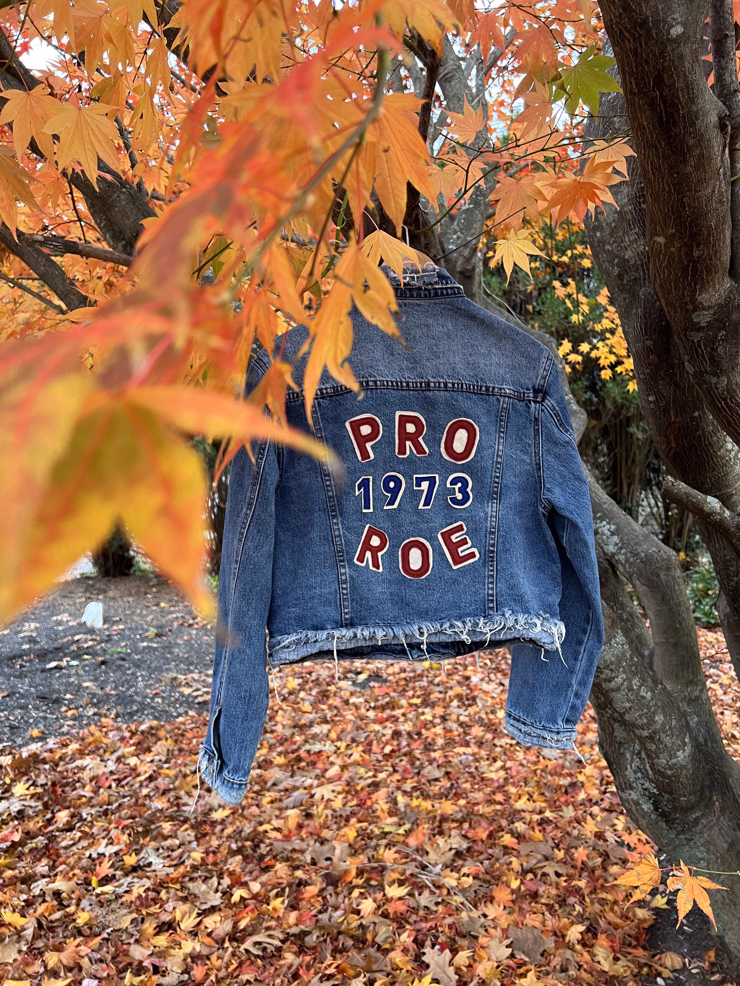 Pro Roe