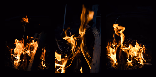 Vivacity (image 1 of 4)