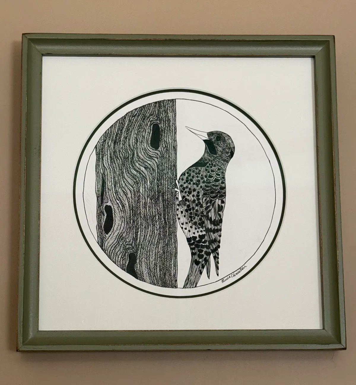 Northern Flicker