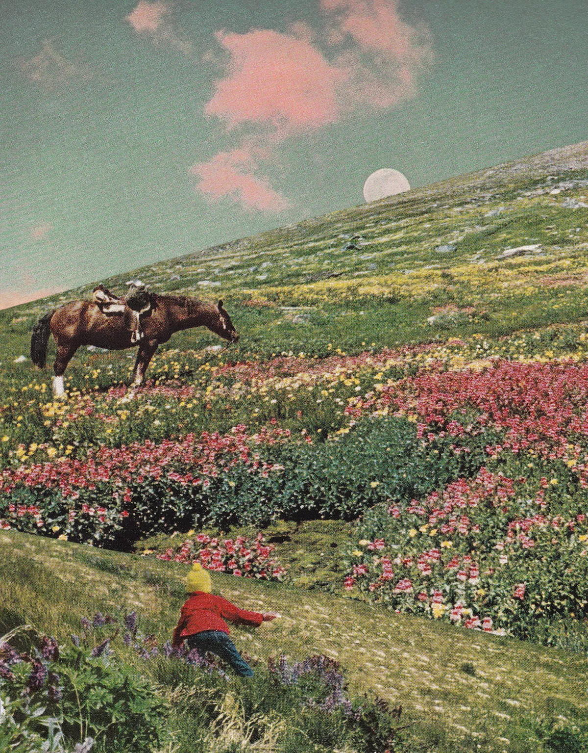 an arriving