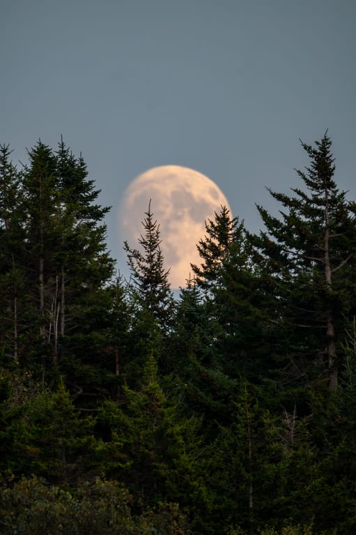 Monhegan Moonrise