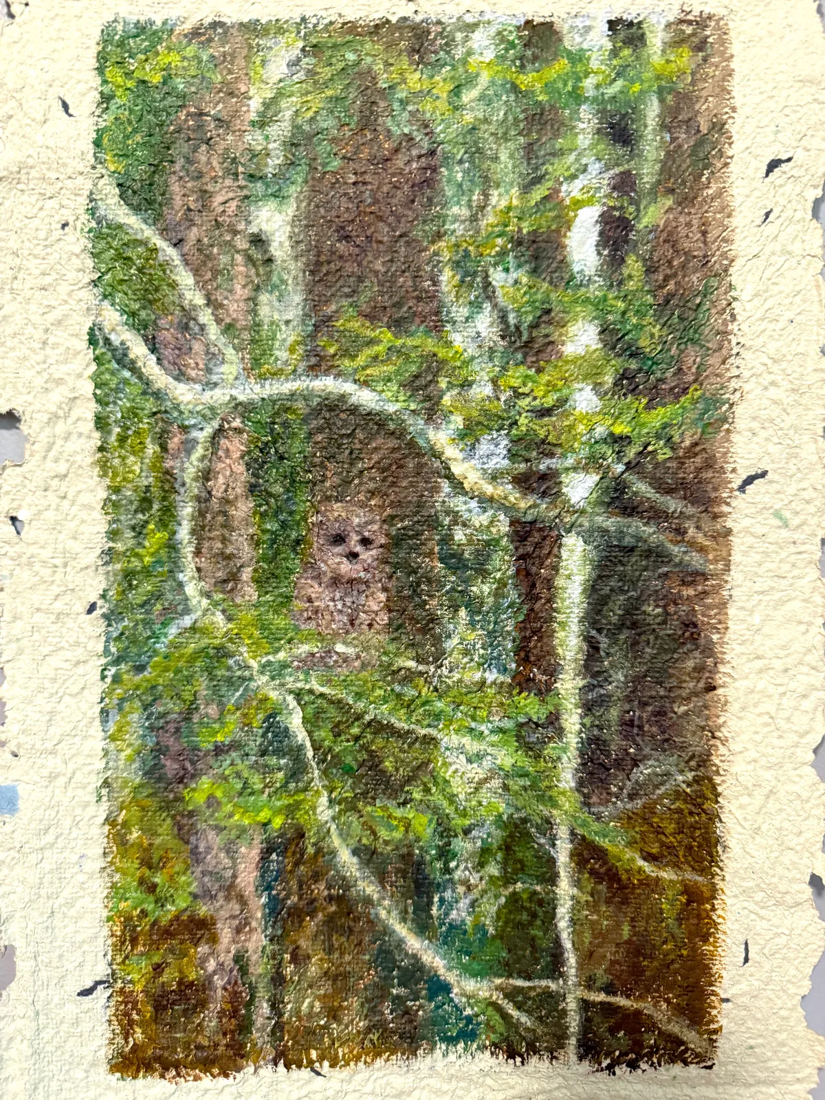 Respite (image 1 of 3)