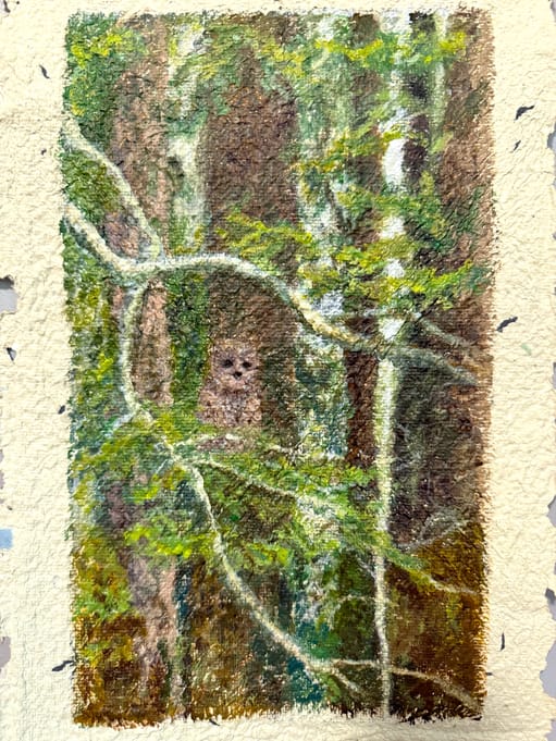 Respite (image 1 of 3)