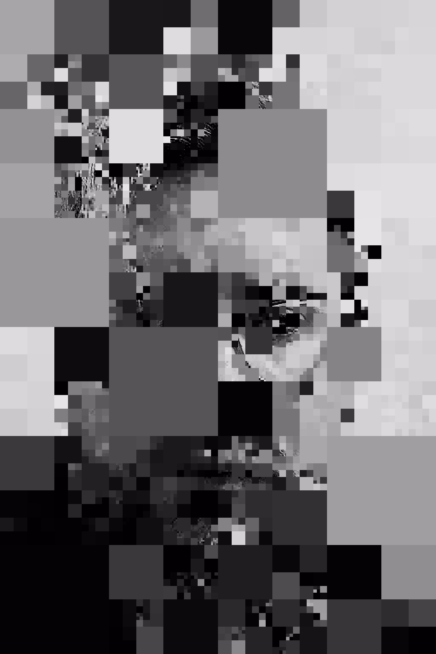 Self-Portrait at 8 Resolutions 1