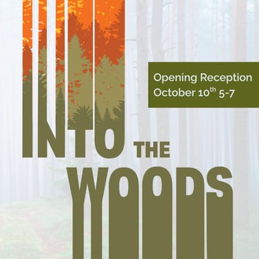 Into The Woods - Opening Reception image
