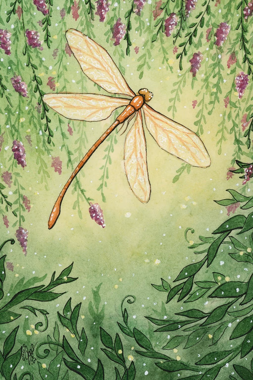 Dragonfly