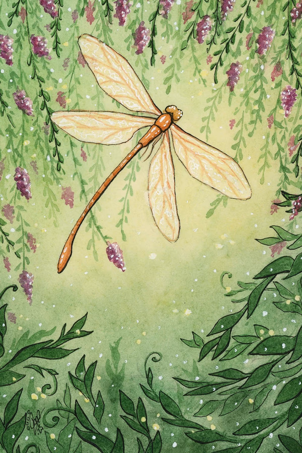 Dragonfly