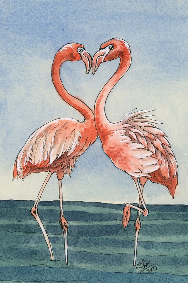 Flamingos