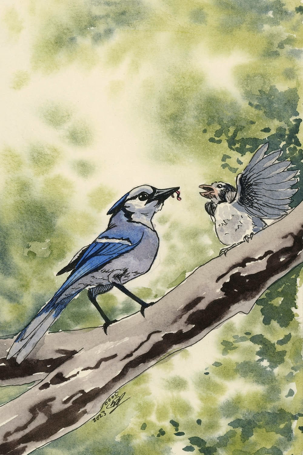 Blue Jays