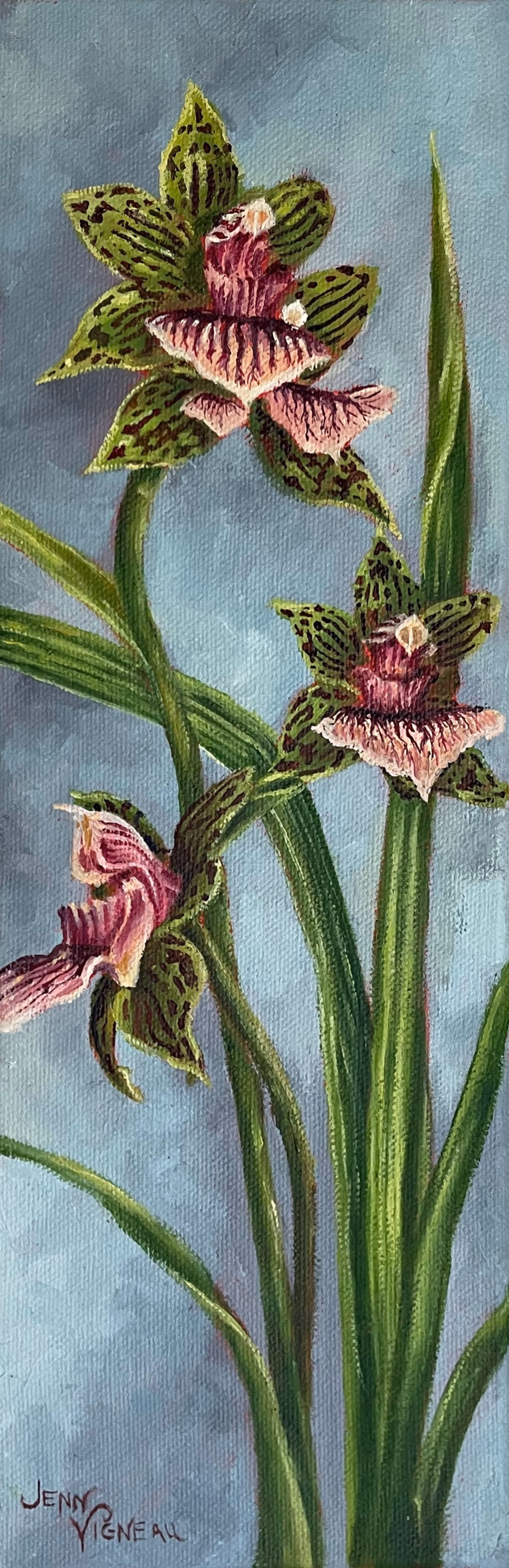 Orchids