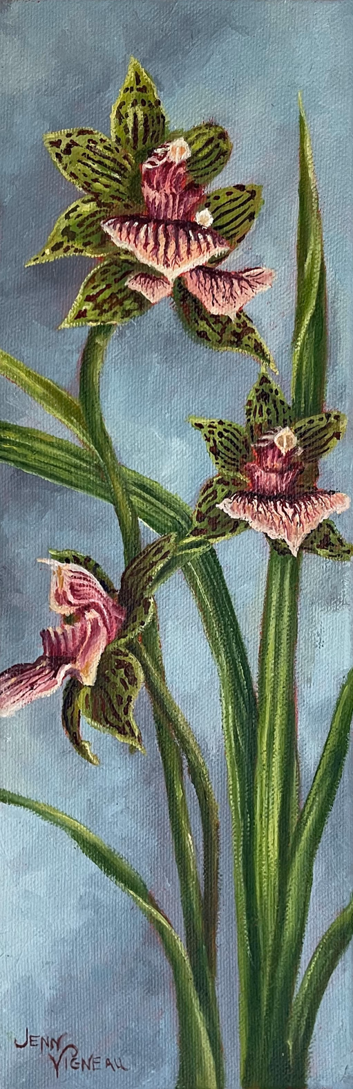 Orchids