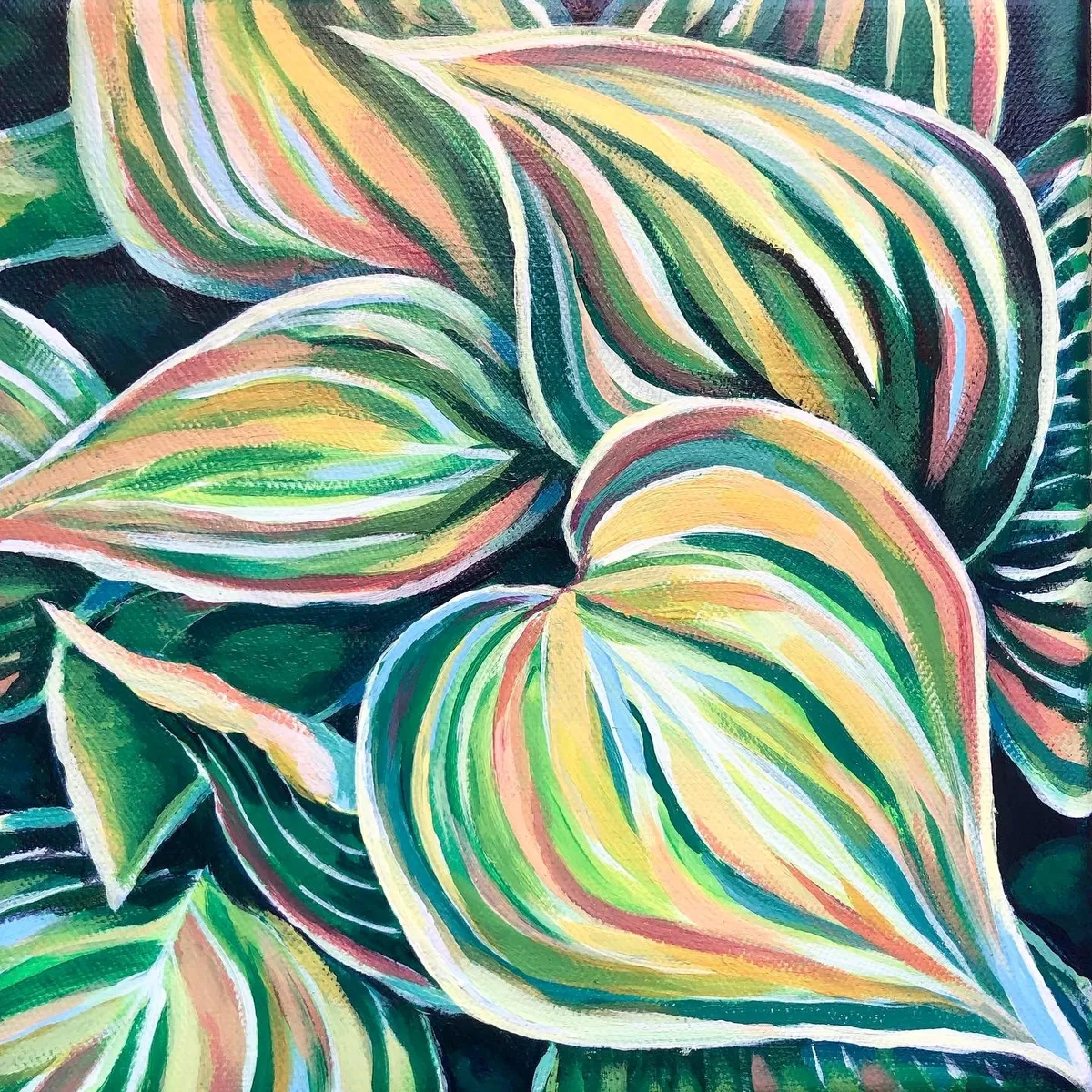 Rainbow Pothos