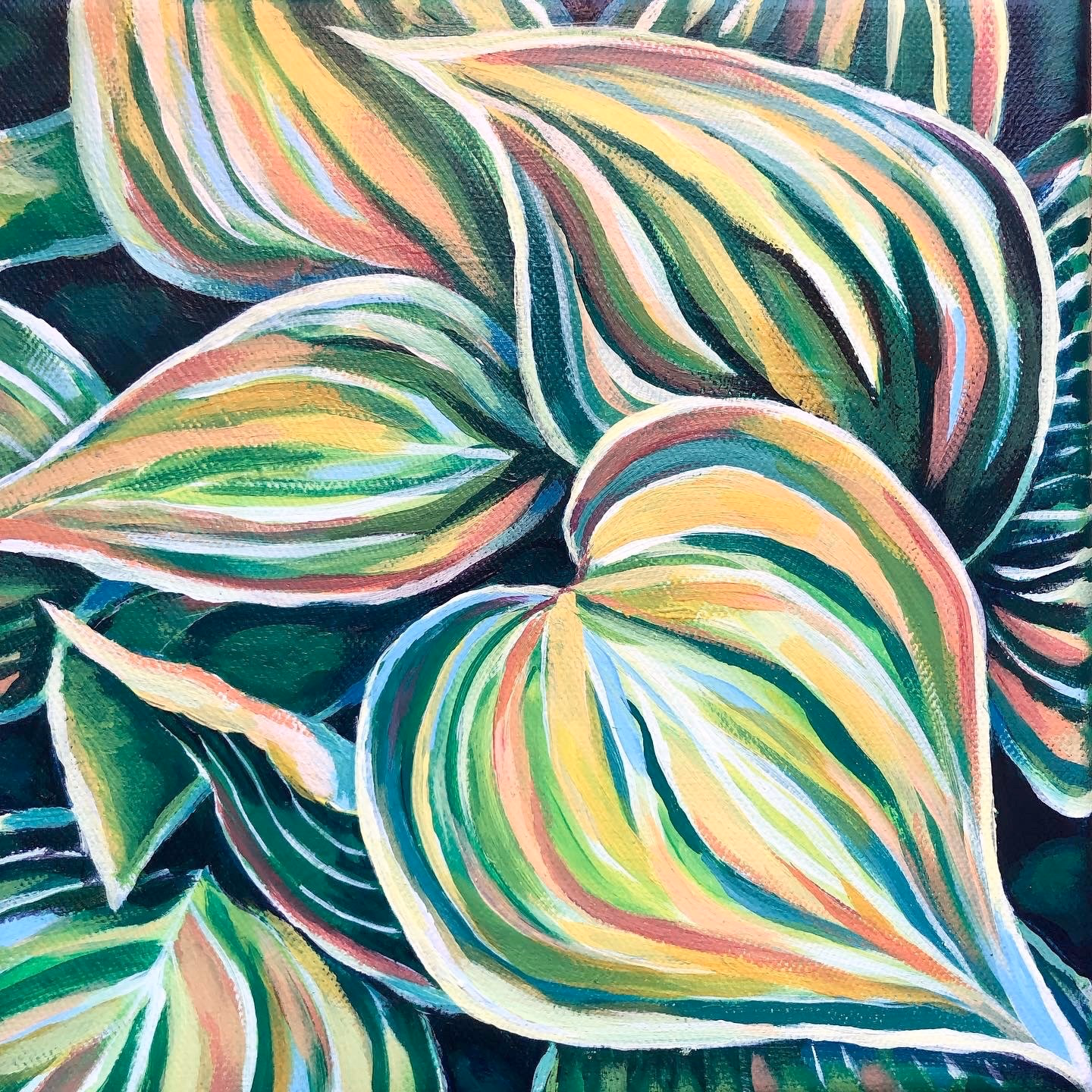 Rainbow Pothos