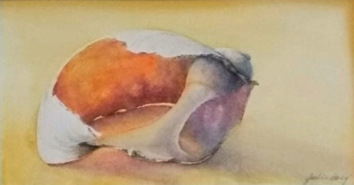 Opalescent Shell