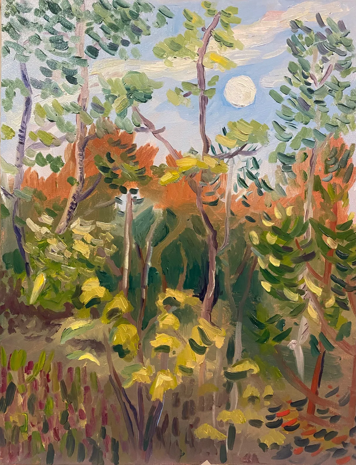 Ponemah Bog