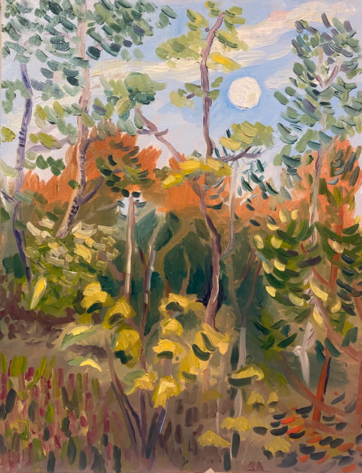 Ponemah Bog