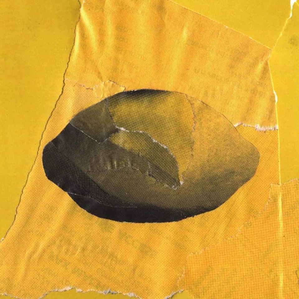 Found Image Lemon Collage