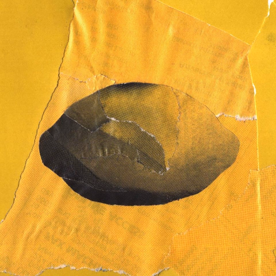 Found Image Lemon Collage
