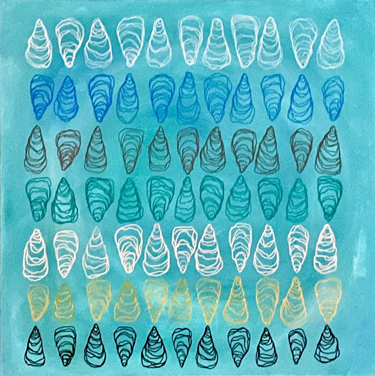 Shell Study