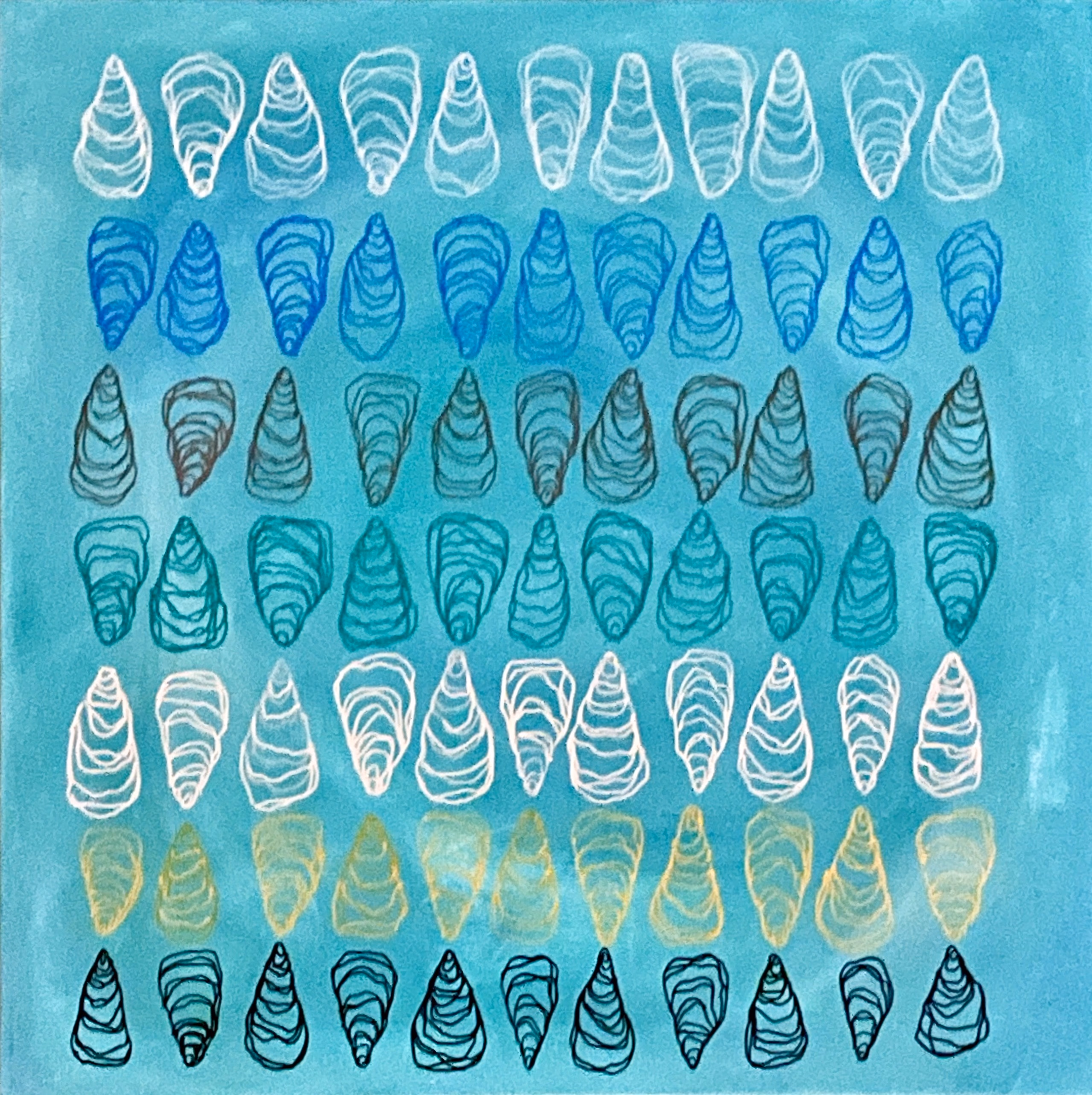 Shell Study