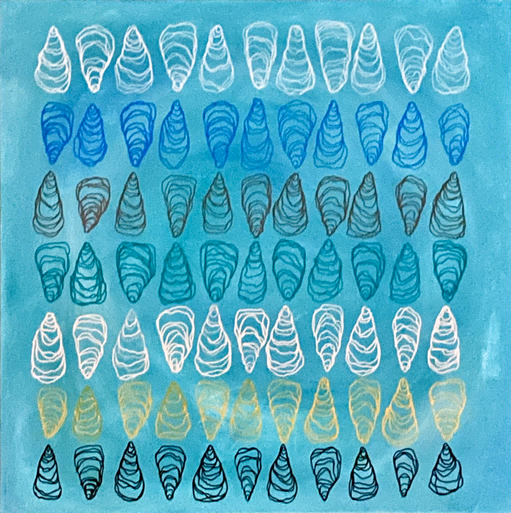 Shell Study