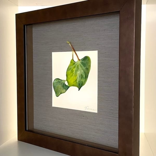 Leaves