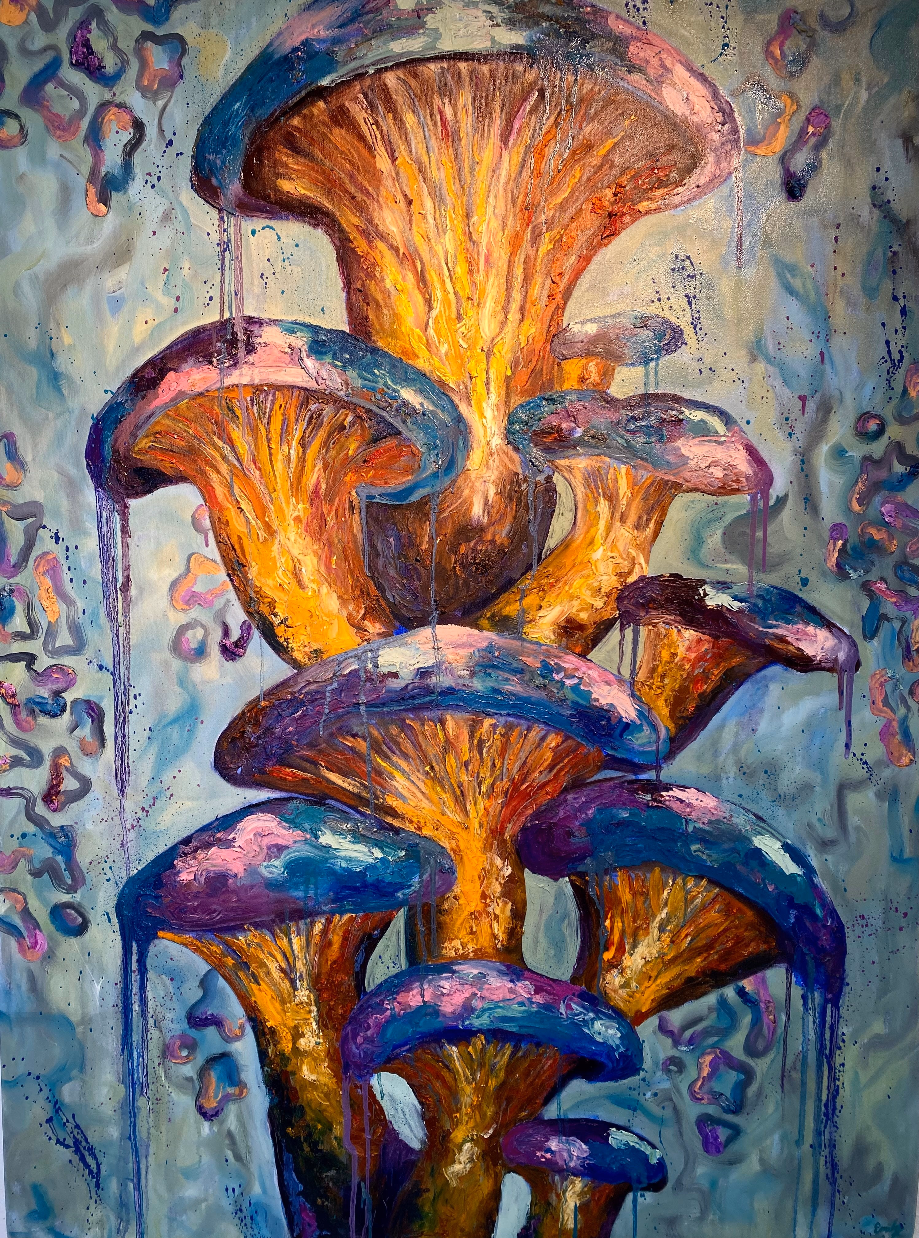 Macro mycology