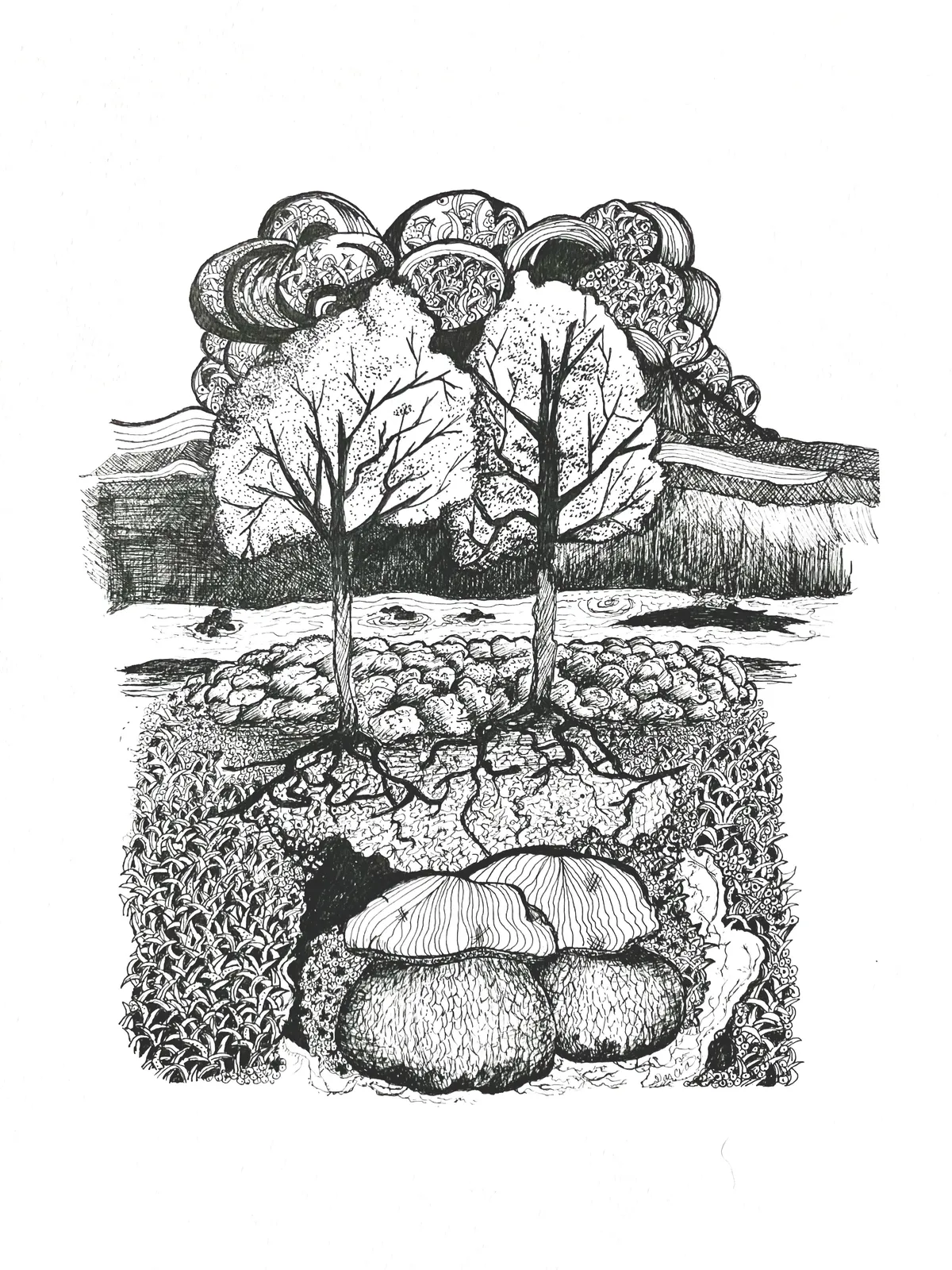 Biodiversity
