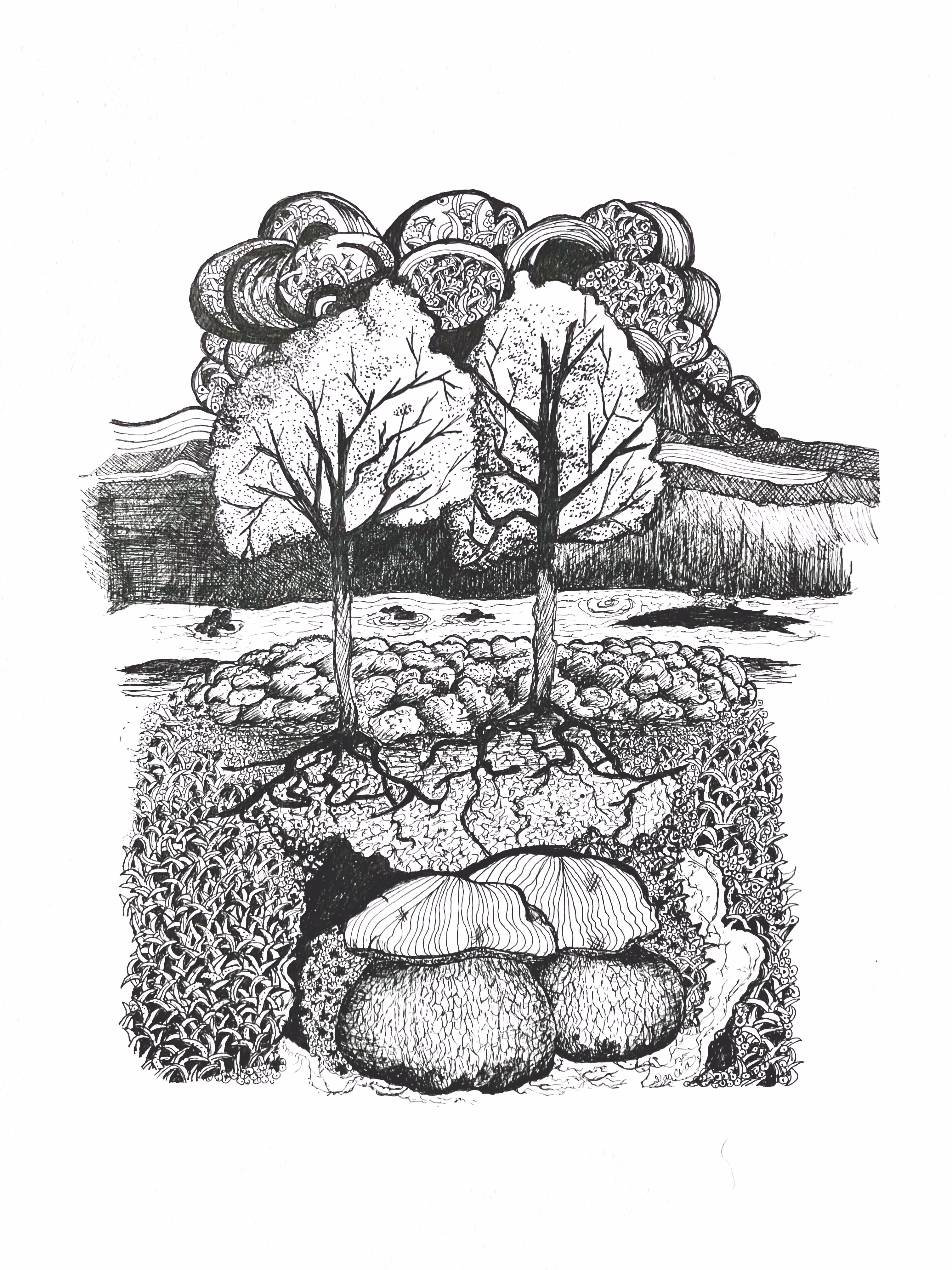 Biodiversity