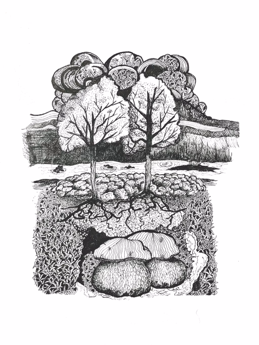 Biodiversity