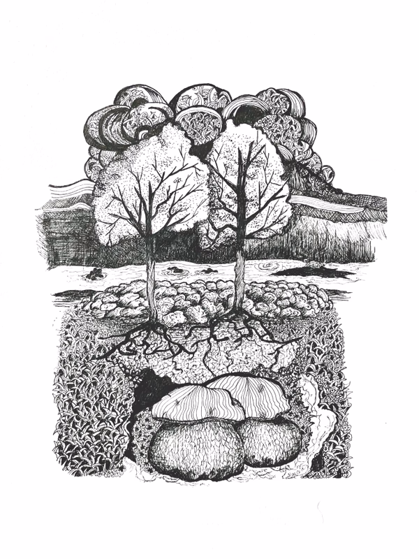 Biodiversity