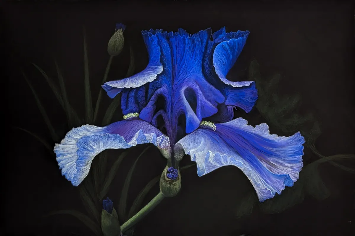 Fleur de Lys