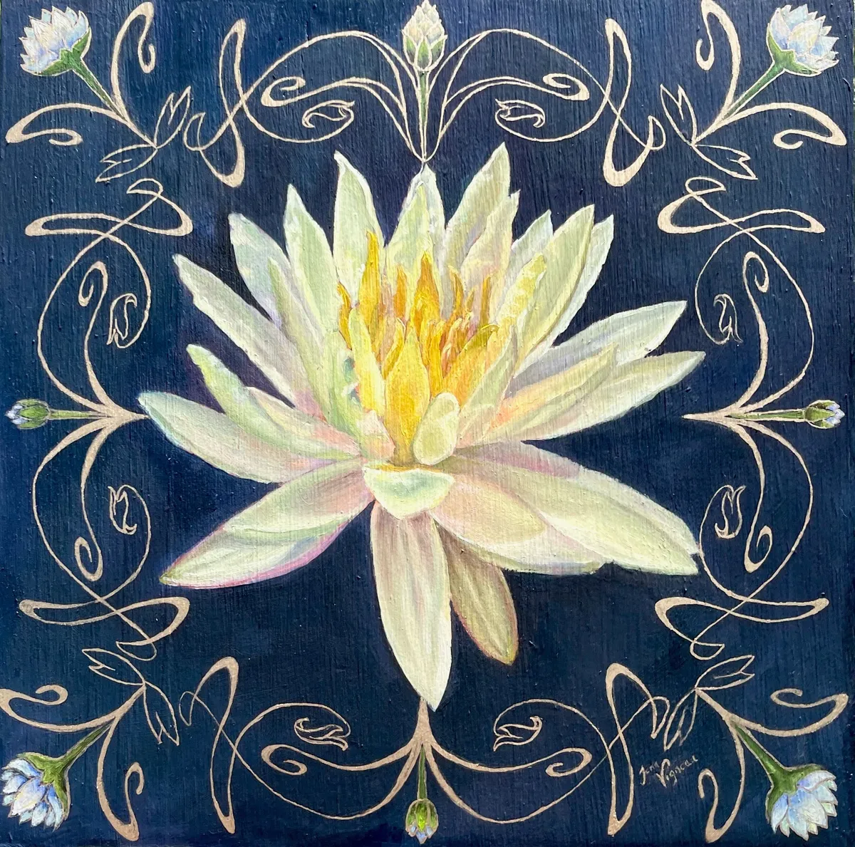 Waterlily
