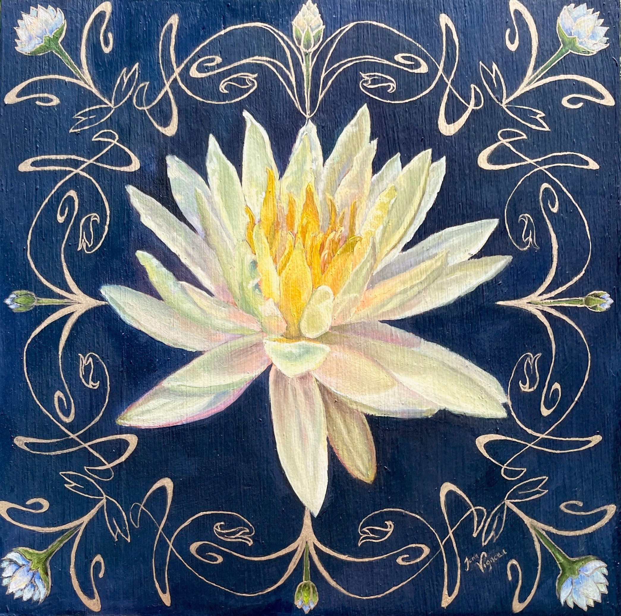 Waterlily