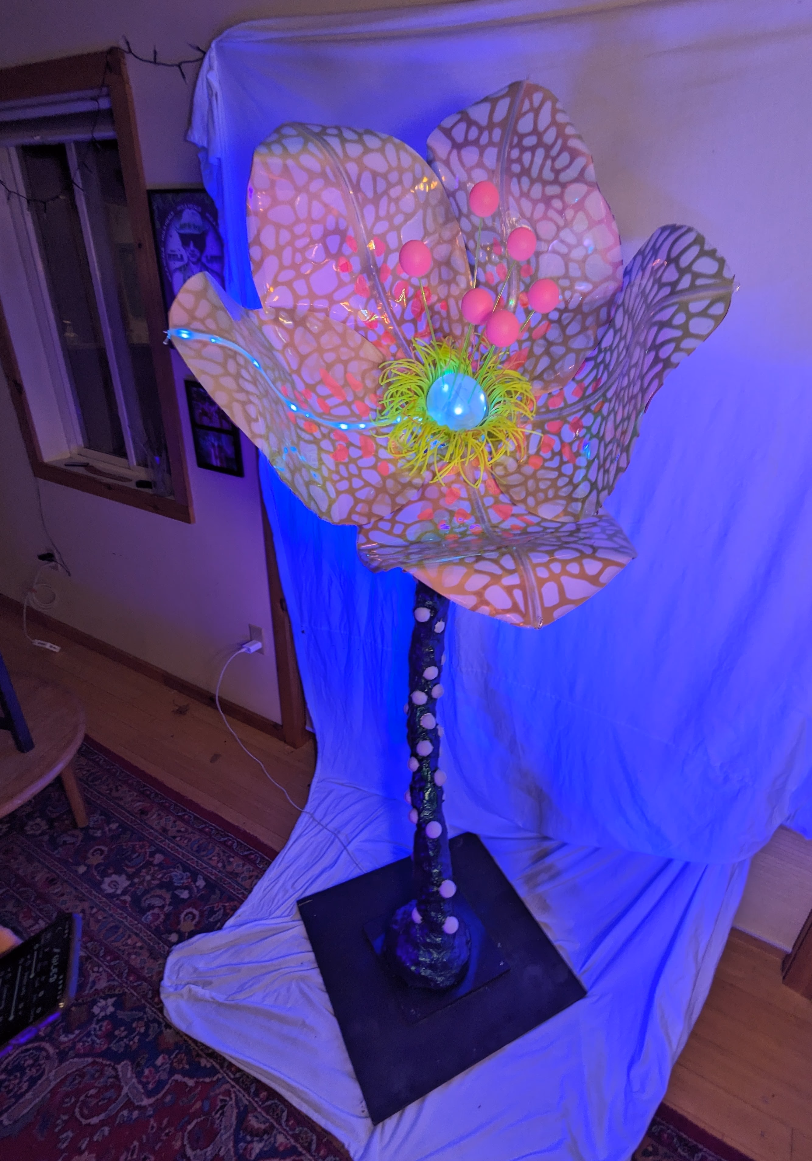 FLORES: interstellar mycelium