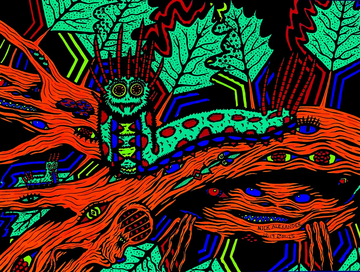 Wormvision