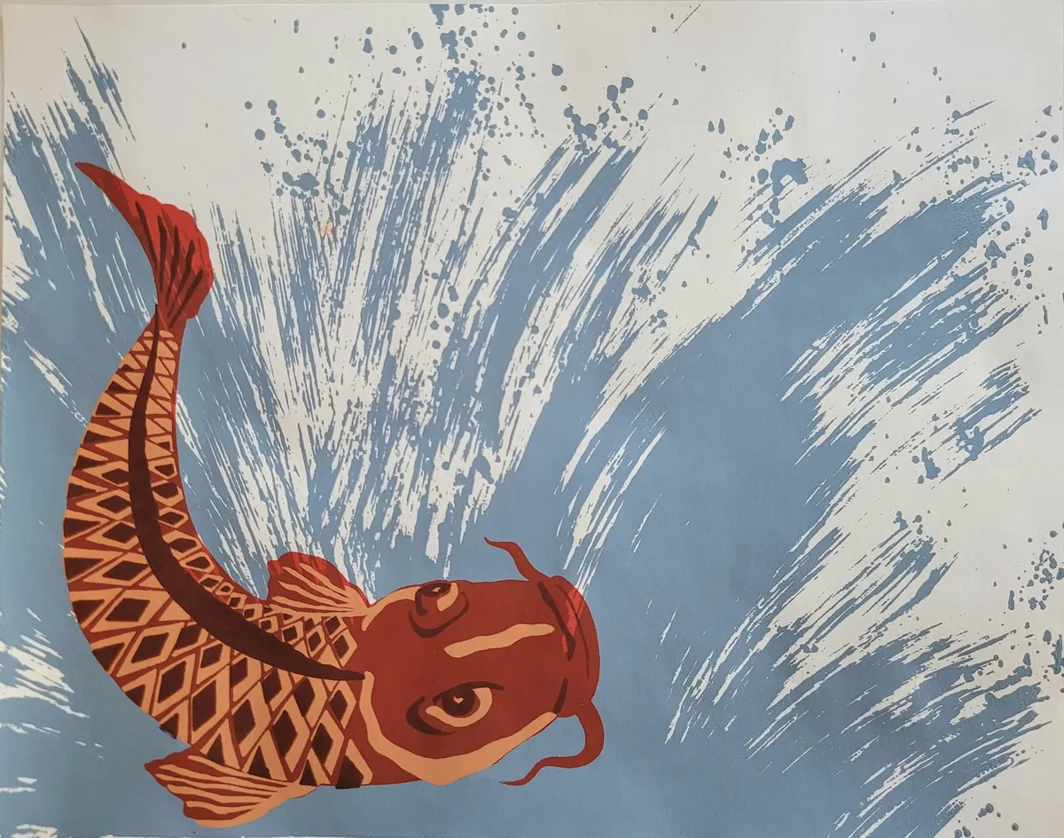 Koi