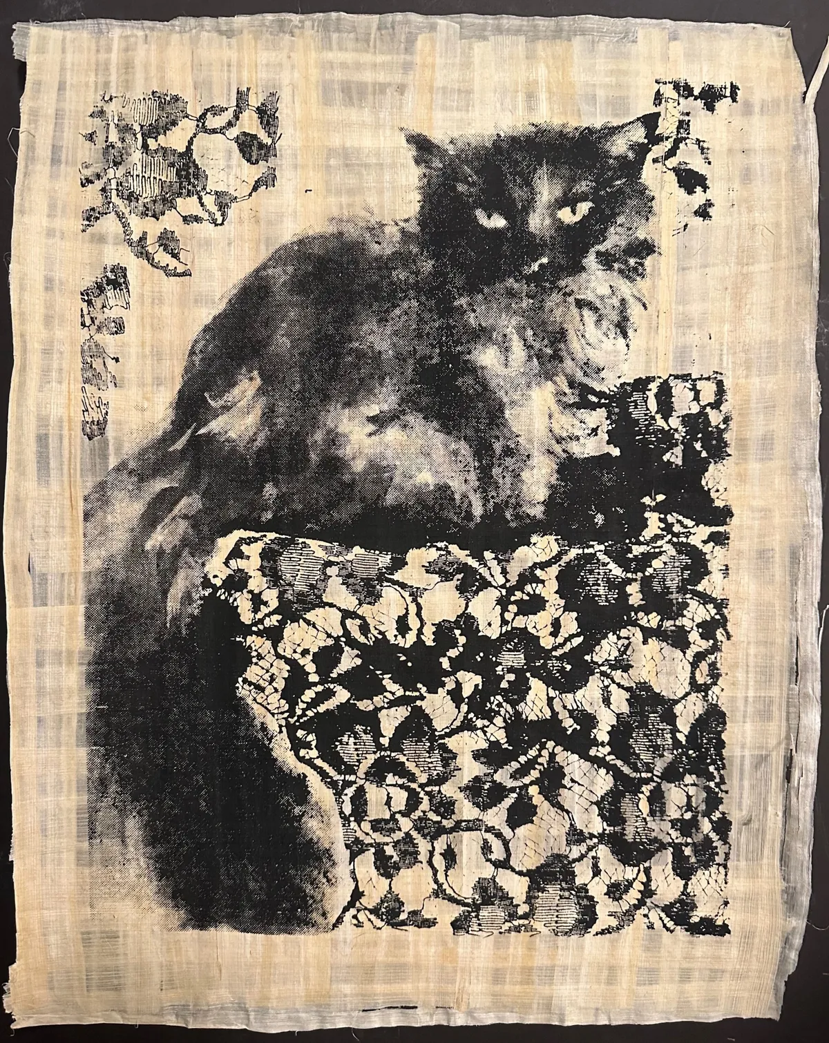 Cat Reclining