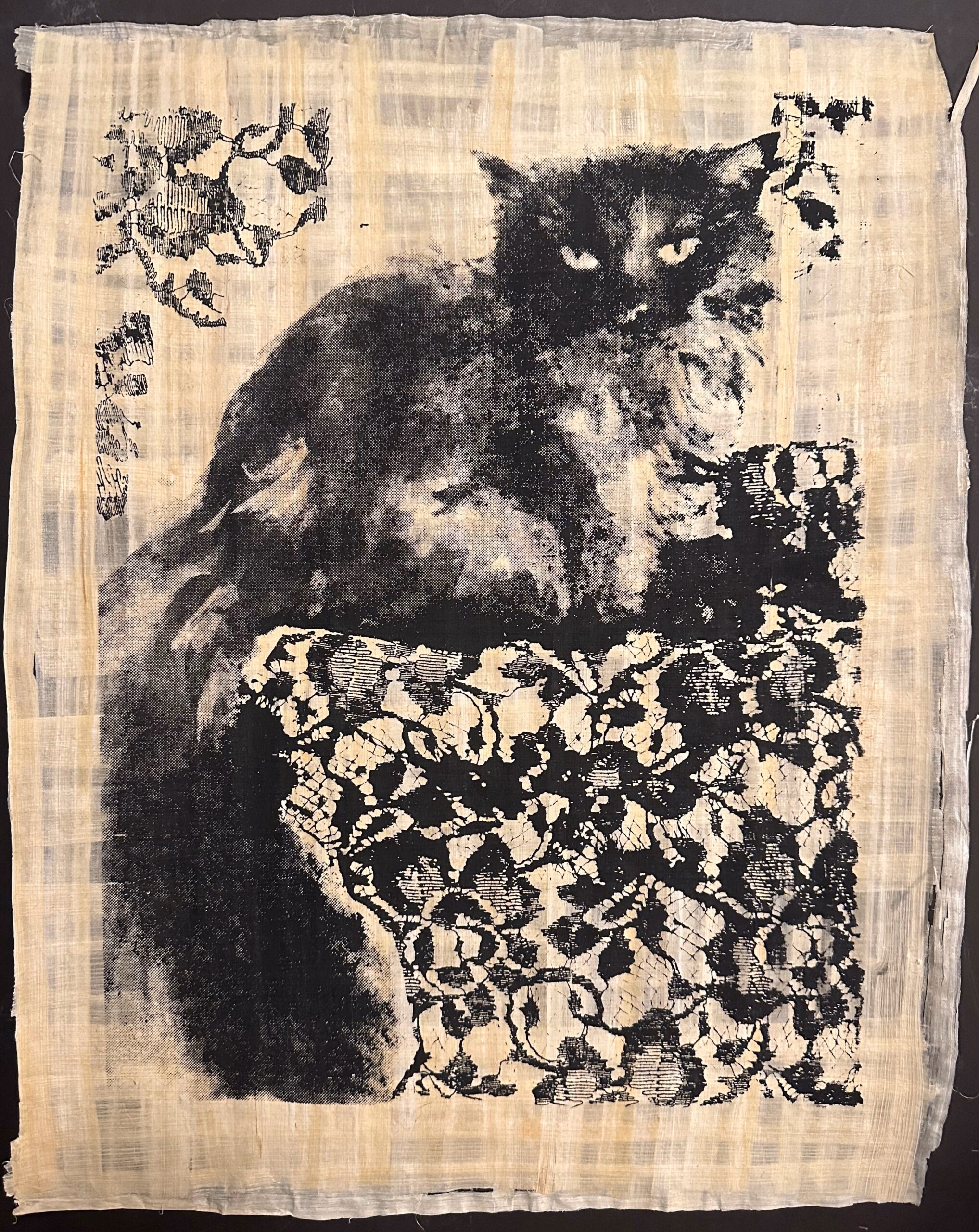 Cat Reclining
